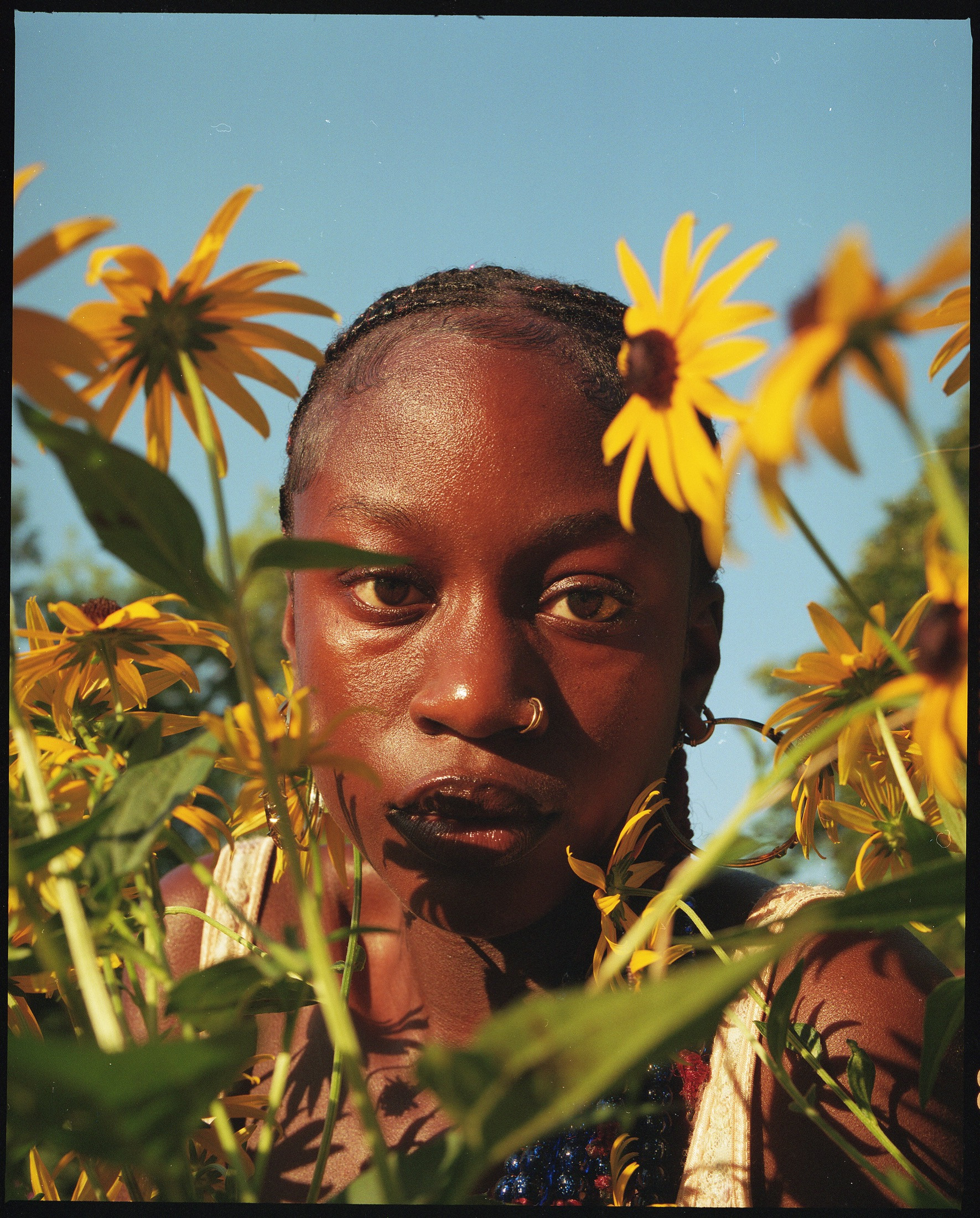 A closeup image of the face of a Black woman, photographed in a field of sunflowers in the golden late afternoon light.
